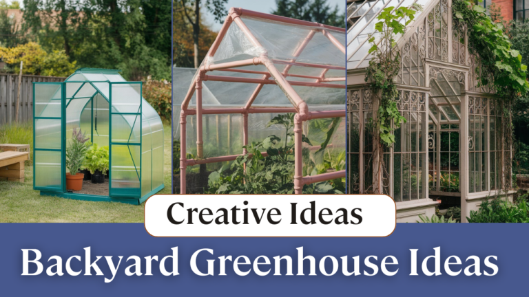 15 Backyard Greenhouse Ideas for Lush Gardens All Year Round