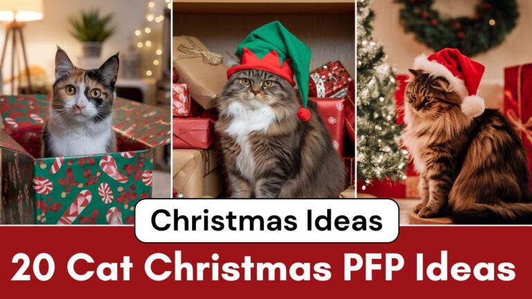20 Cat Christmas PFP Ideas for Feline Lovers